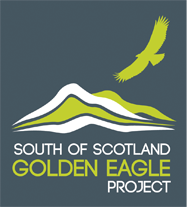 South Of Scotland Golden Eagle Project