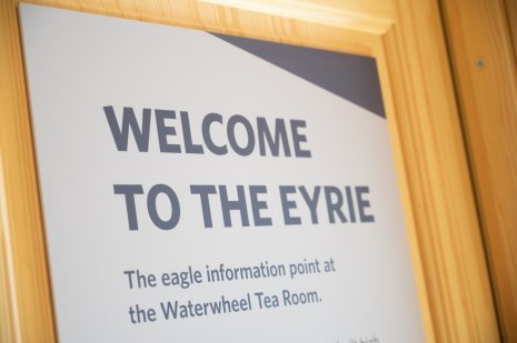 close up of our exhibition signage. It reads: 'Welcome to the eyrie'.