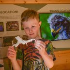 a child inspecting a 3D printed eagles foot